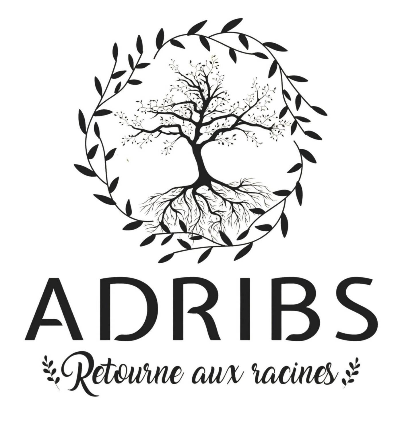 Logo der Organisation ADRIBS