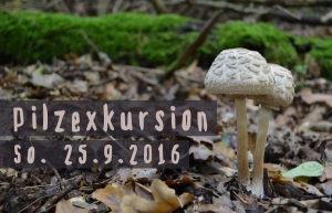 Pilzexkursion am 25.9.2016