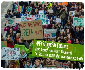 Flyer für den Klimastreik am 29.3.2019